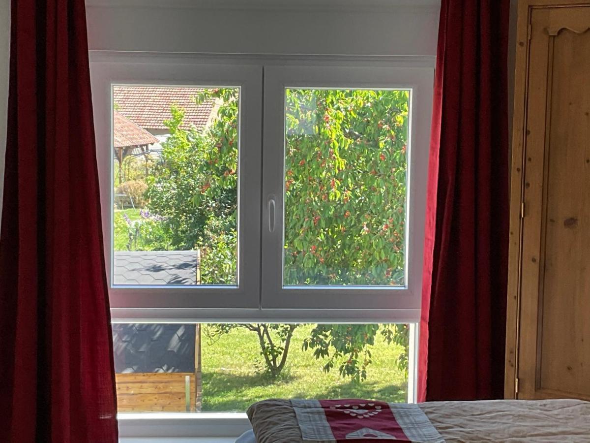 Gite Au Sauna De L'Aubach Scherwiller Exterior foto