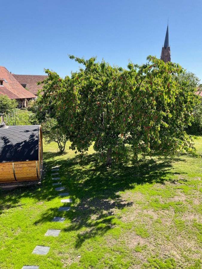 Gite Au Sauna De L'Aubach Scherwiller Exterior foto