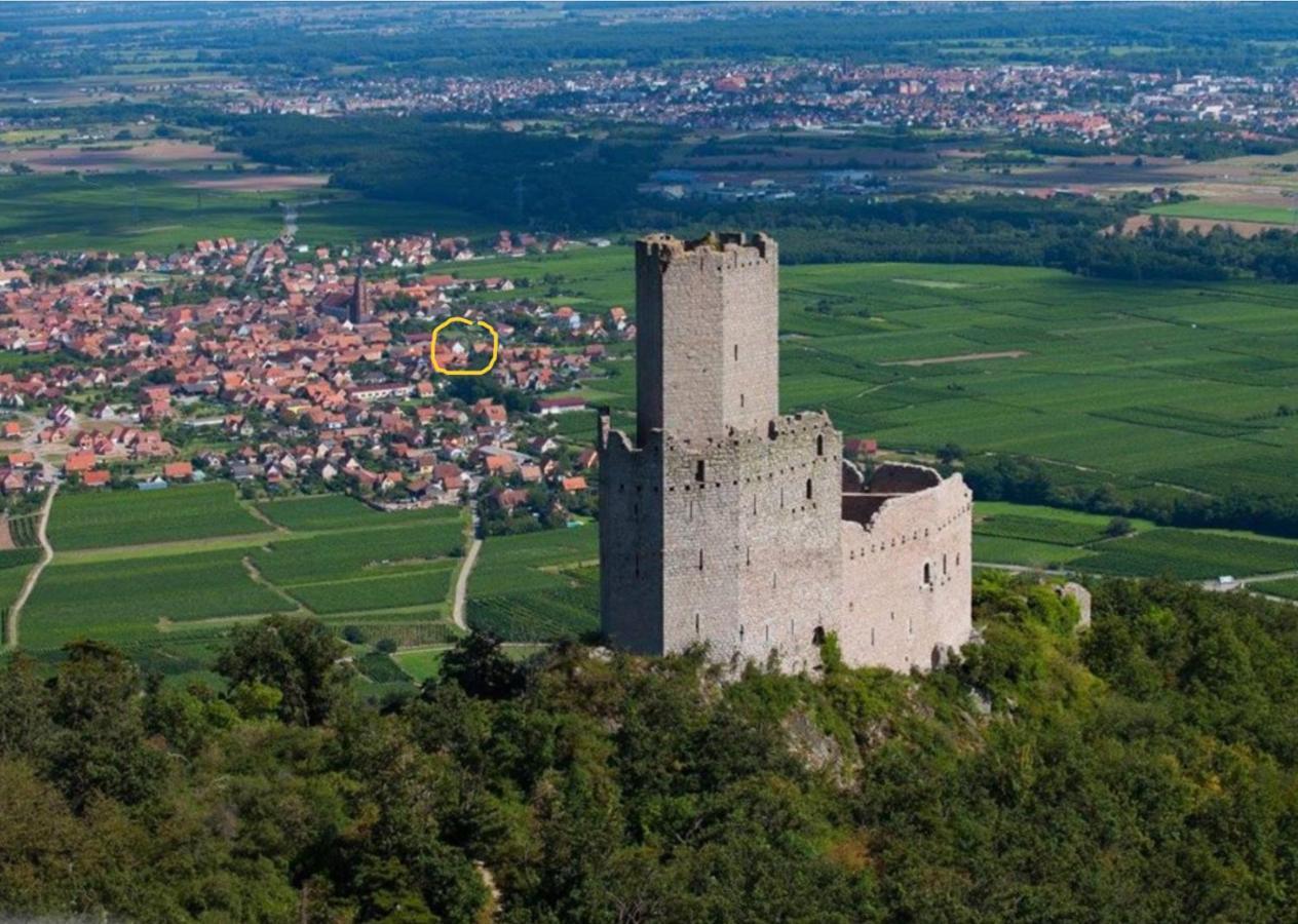 Gite Au Sauna De L'Aubach Scherwiller Exterior foto