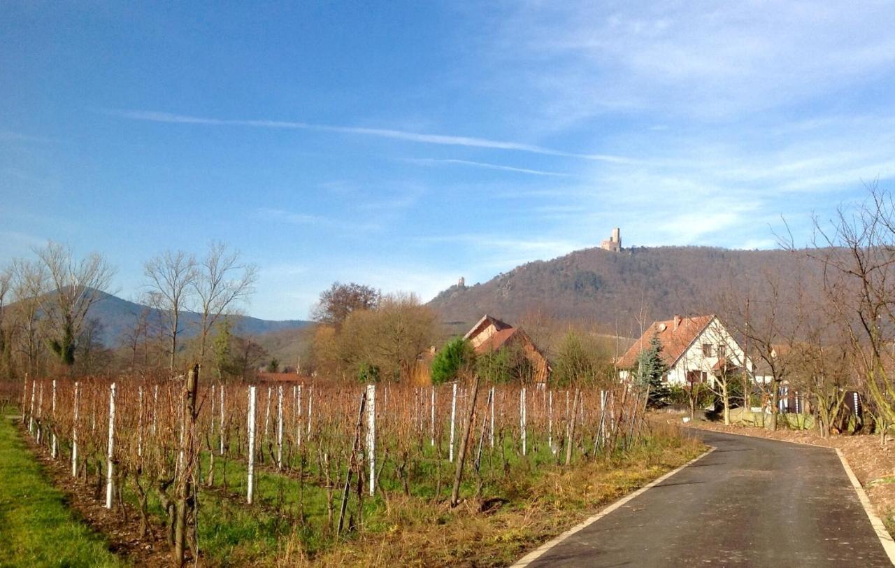 Gite Au Sauna De L'Aubach Scherwiller Exterior foto